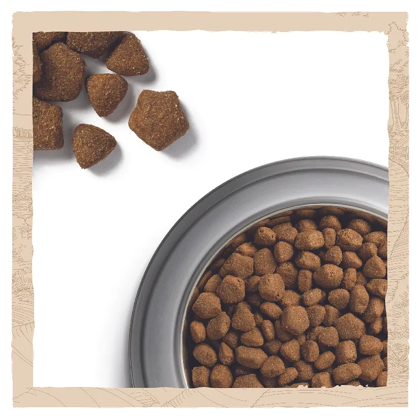 Сухой корм для собак Dog Chow Adult 1+, с ягненком, 14 кг - фото 7