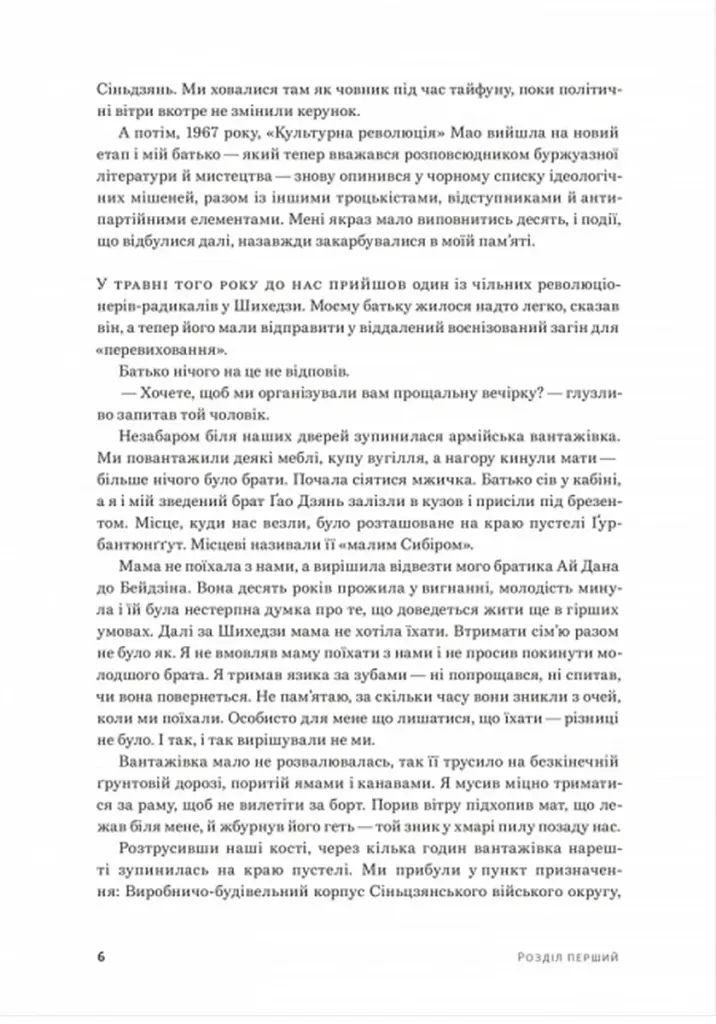 Ай Вейвей. 1000 років радості й смутку. Мемуари - фото 4