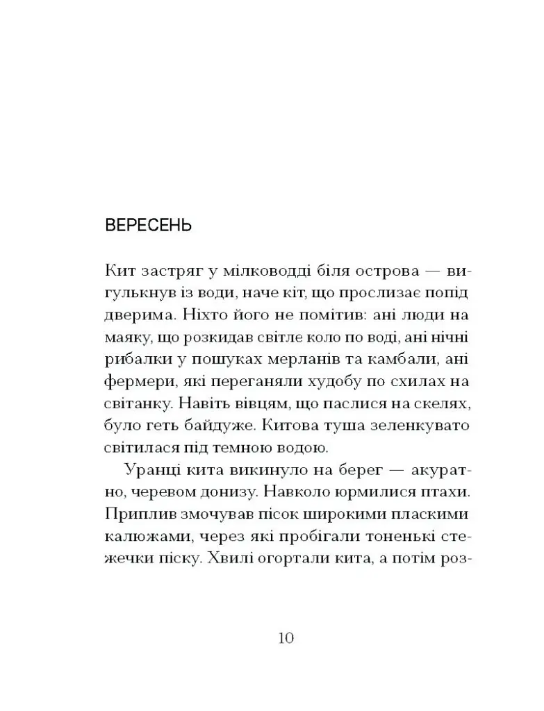 Китовий плин - фото 5