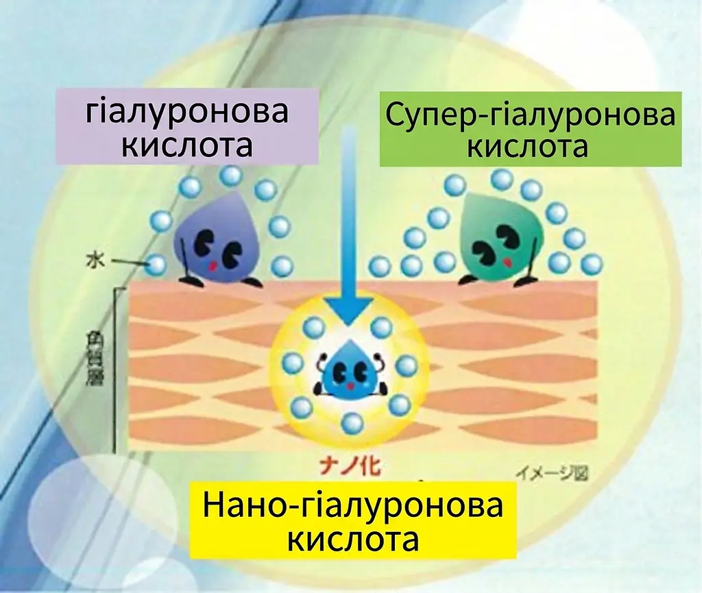 Японський лосьйон Hada Labo Gokujyun з 4 видами гіалуронової кислоти, 170 мл - фото 3