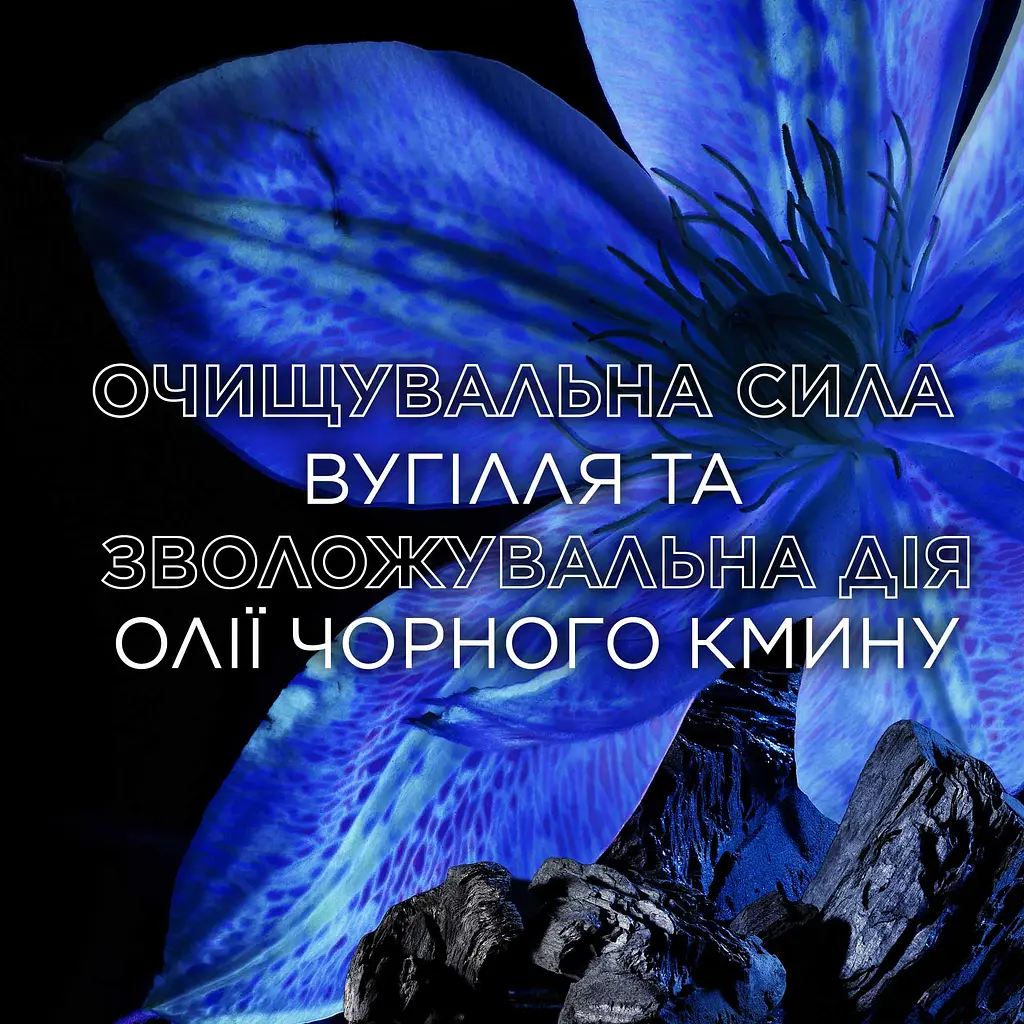 Балансуючий шампунь Garnier Botanic Therapy Магнетичне вугілля, 400 мл - фото 3