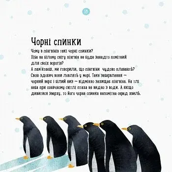 Де живе пінгвін? - фото 2