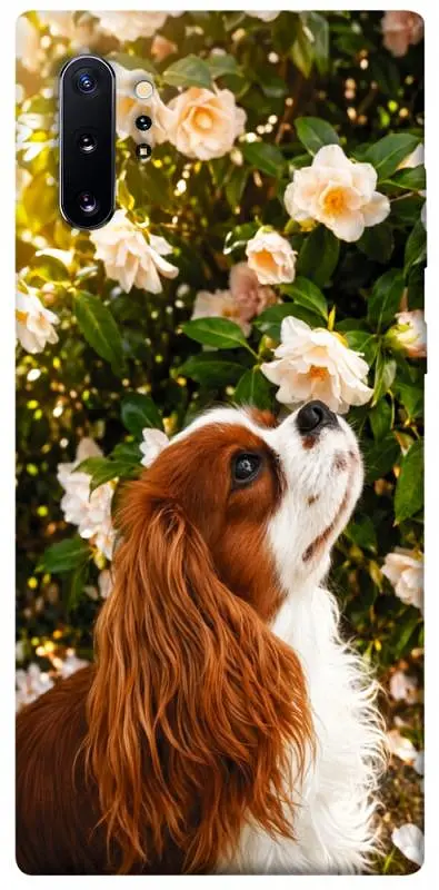 TPU чохол Demsky Flower spaniel для Samsung Galaxy Note 10 Plus