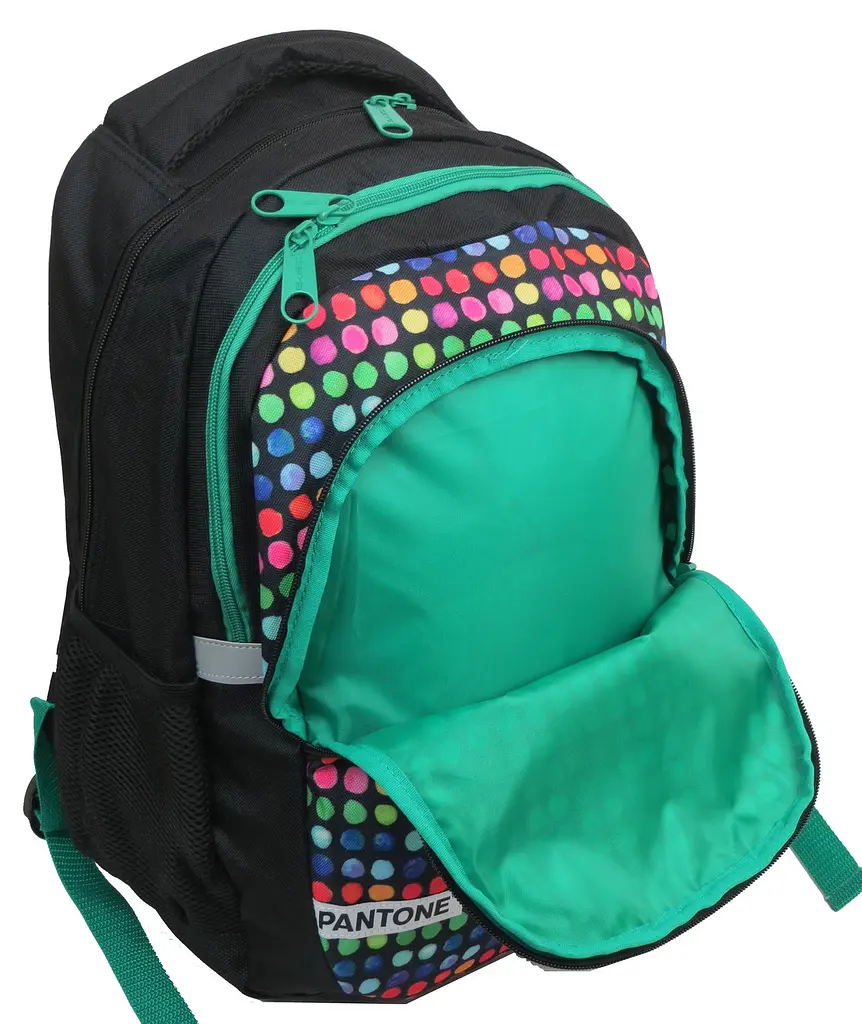Рюкзак молодіжний Paso 00-699PAN 22L Різнокольоровий - фото 10