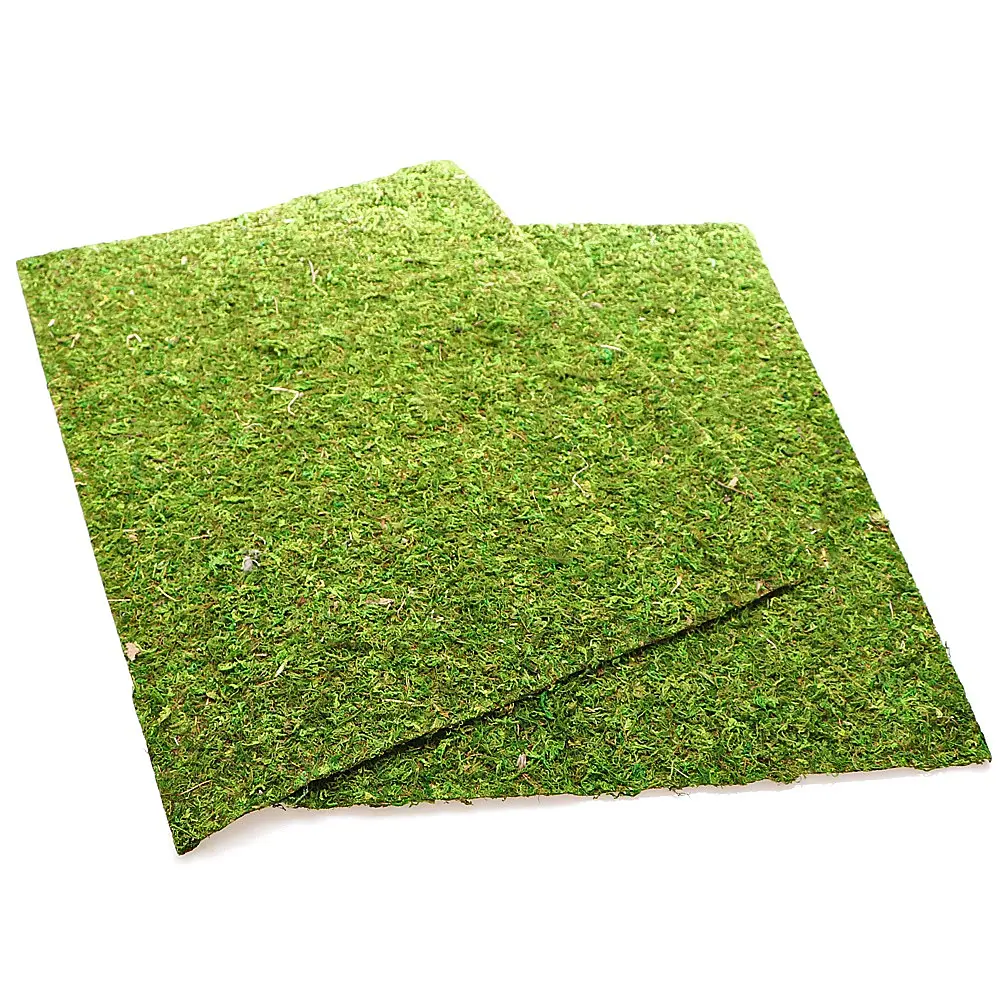 Фон з натурального моху Repti-Zoo Natural Moss Back & Bottom 50x25см 2 шт (NCM5025) для тераріуму - фото 6