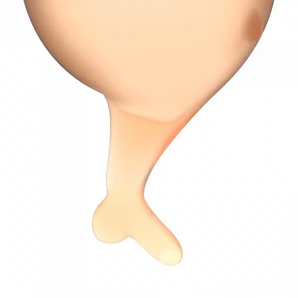 Satisfyer Feel Secure - набір менструальних чаш, 15 мл і 20 мл (Помаранчевий) - фото 4