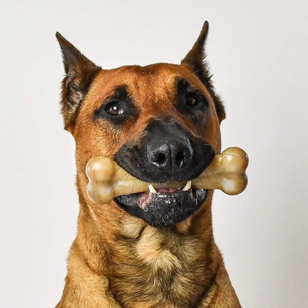 Жорстка нейлонова кістка для собак Pet Qwerks Flavor Farms Chew Toys з ароматом бекону - фото 3