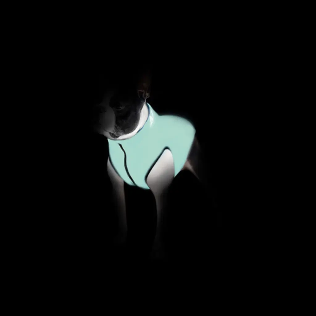 Уцінка. Курточка для собак AiryVest Lumi двостороння світиться в темряві M47 салатово-блакитна - фото 3