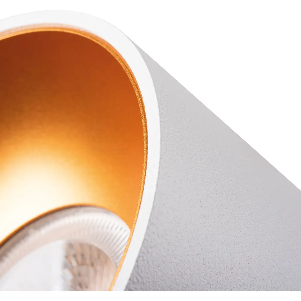 Потолочный светильник точечный Kanlux Mini Riti GU10 W/G (27576) - фото 2