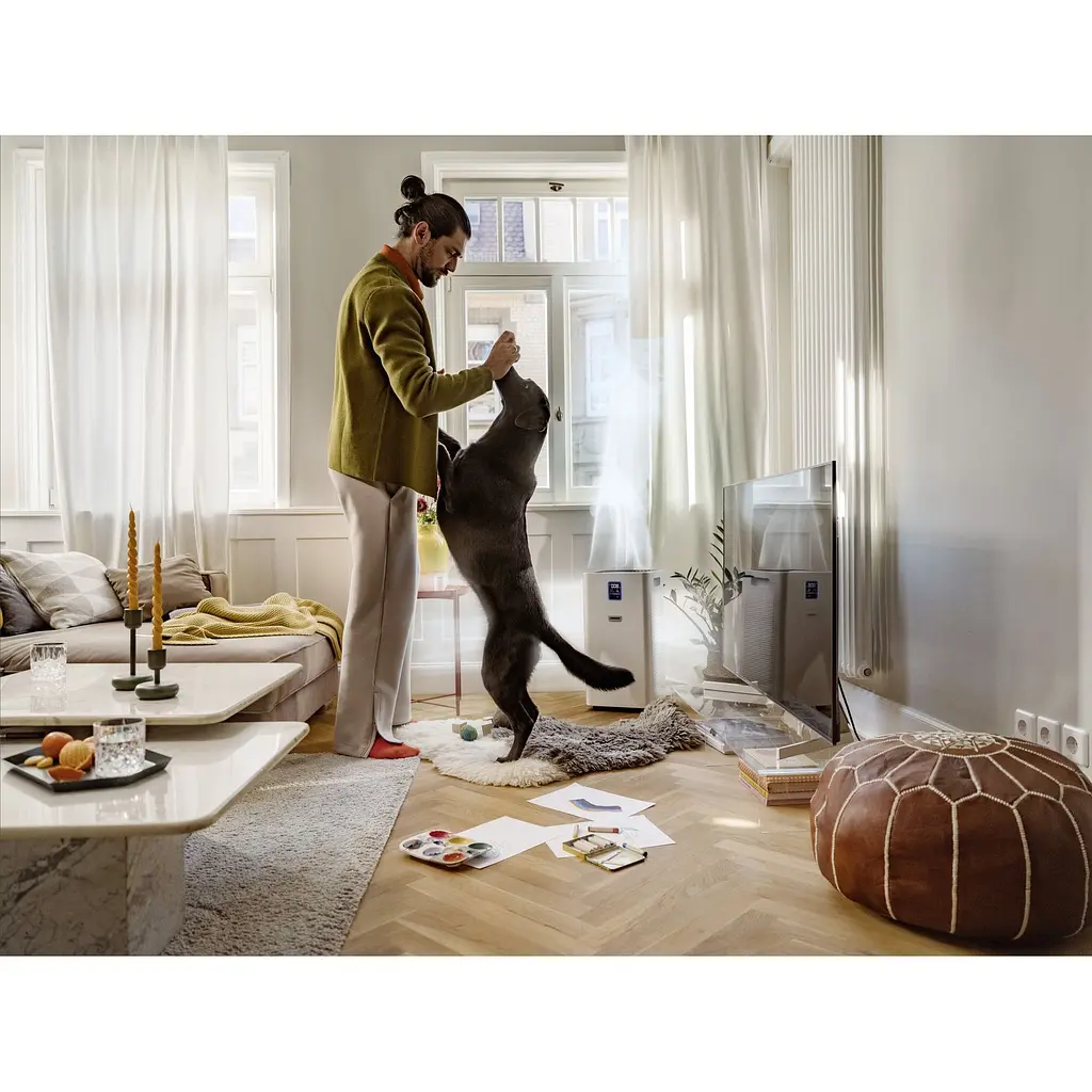 Очищувач повітря Karcher AF 50 білий (1.024-822.0) - фото 7