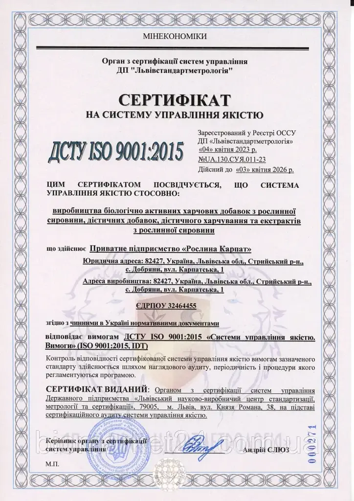 Сироп Артишок – м’ята 100 мл Рослина Карпат - фото 3