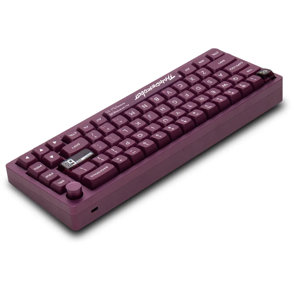 Клавіатура Thunderobot VIC68 Gateron Magnetic Jade Switch USB UA Purple (6932066317201) - фото 8
