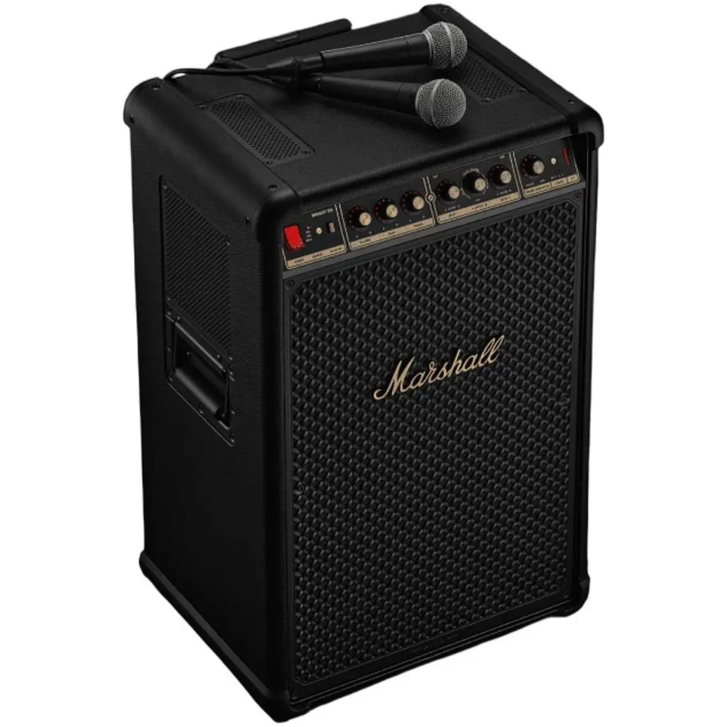 Акустика Marshall Bromley 750 Black And Brass (1008040) [158890] - фото 7