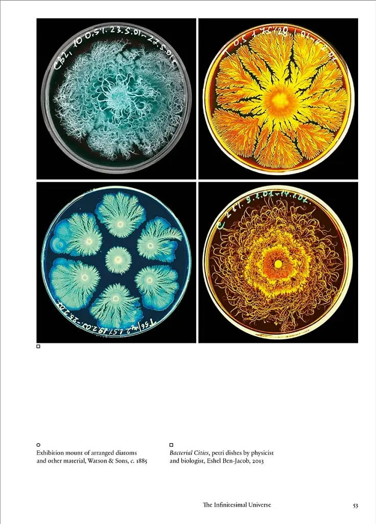 The Cosmic Dance. Finding Patterns and Pathways in a Chaotic Universe - фото 11
