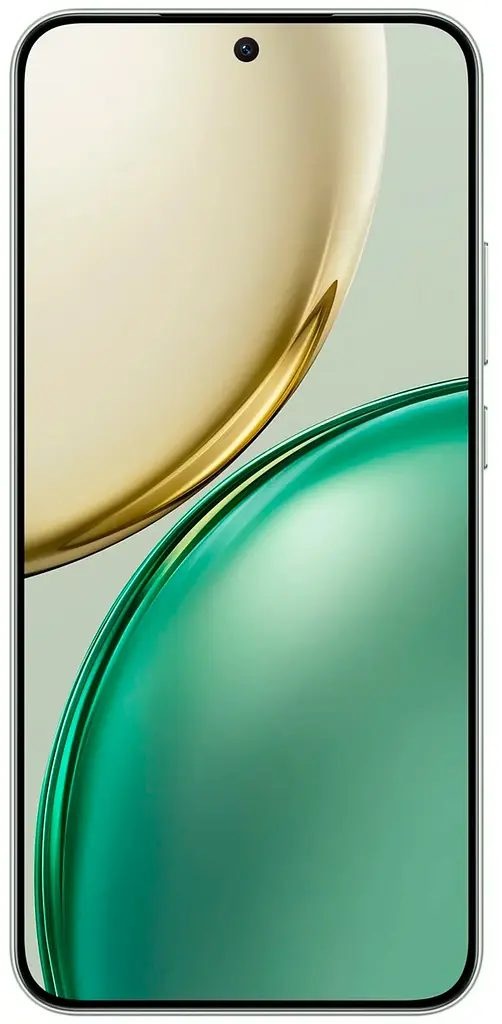 Смартфон Honor X9d 12/256GB Forest Green (Global) NFC - фото 2