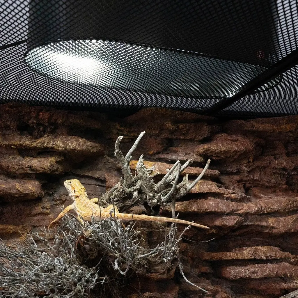 Лампа LED Repti-Zoo Desert and Tropical UVB 5.0 UVB 10.0 5W для тераріумів (LEDU04) - фото 6