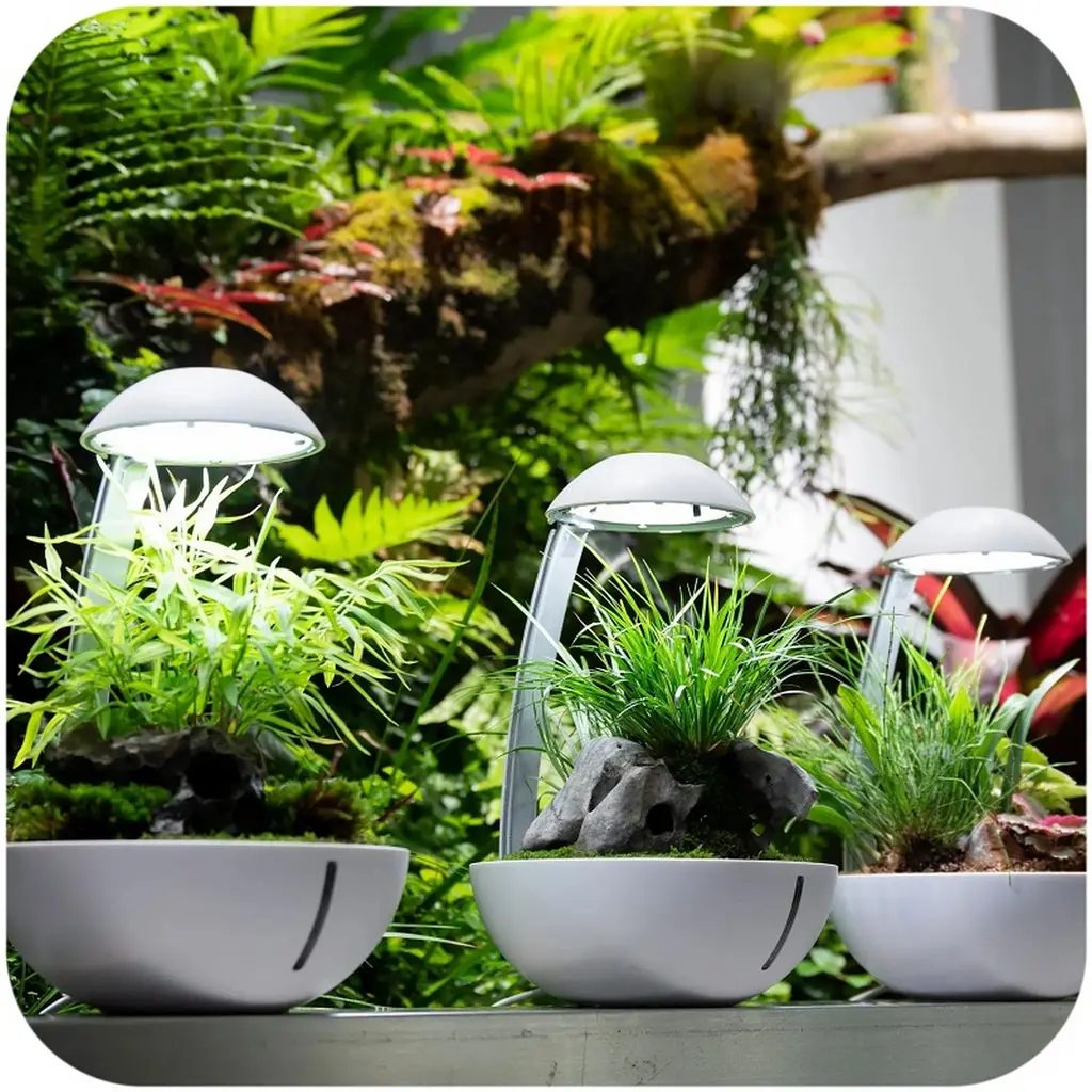 Мінітераріум Chihiros Tiny Terrarium Egg з LED-підсвіткою та керуванням через застосунок - фото 3