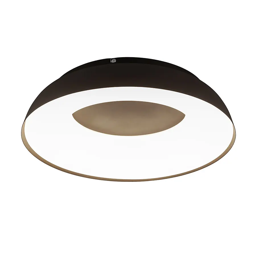 Люстра стельова LED Levistella 797MX6018 (580) CF, 80W, 580x130 мм, з пультом, сучасний стиль для дому - фото 3