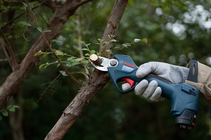 Секатор акумуляторный Bosch Professional Pruner 12В, 2х3Агод (0.601.9K1.021) - фото 4