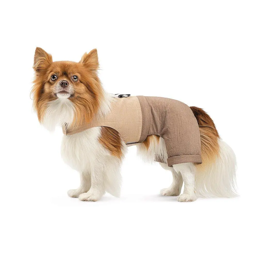 Шлея-костюм Darcy ТМ Pet Fashion для собак XXS бежева - фото 4