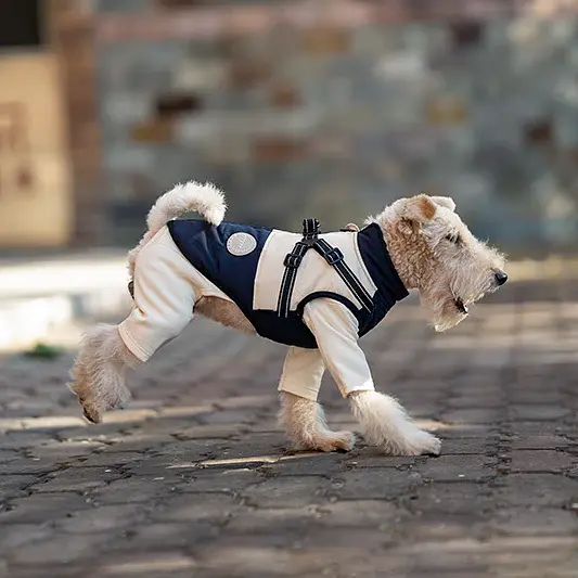 Зимова куртка для собак V.PET.B.R. Luxury Dog Jacket C519 Black&Cream - фото 7