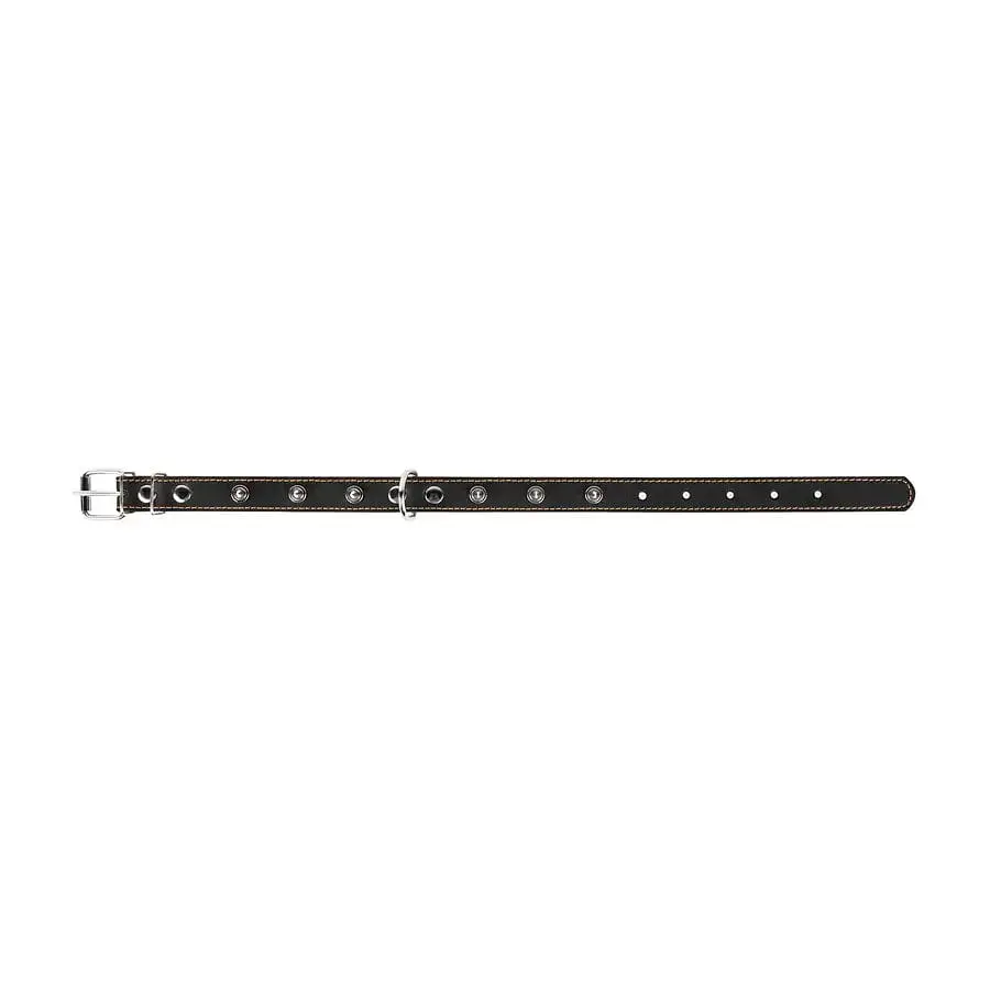 Нашийник для собак Collar, шкіряний, подвійний, з шипами, 38-50х2,5 см, чорний - фото 2