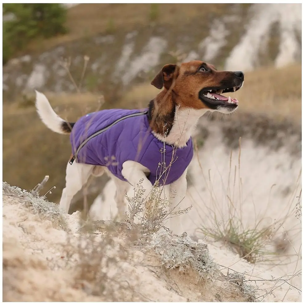 Жилет для собак Pet Fashion E.Vest XS2 фиолетовый - фото 5