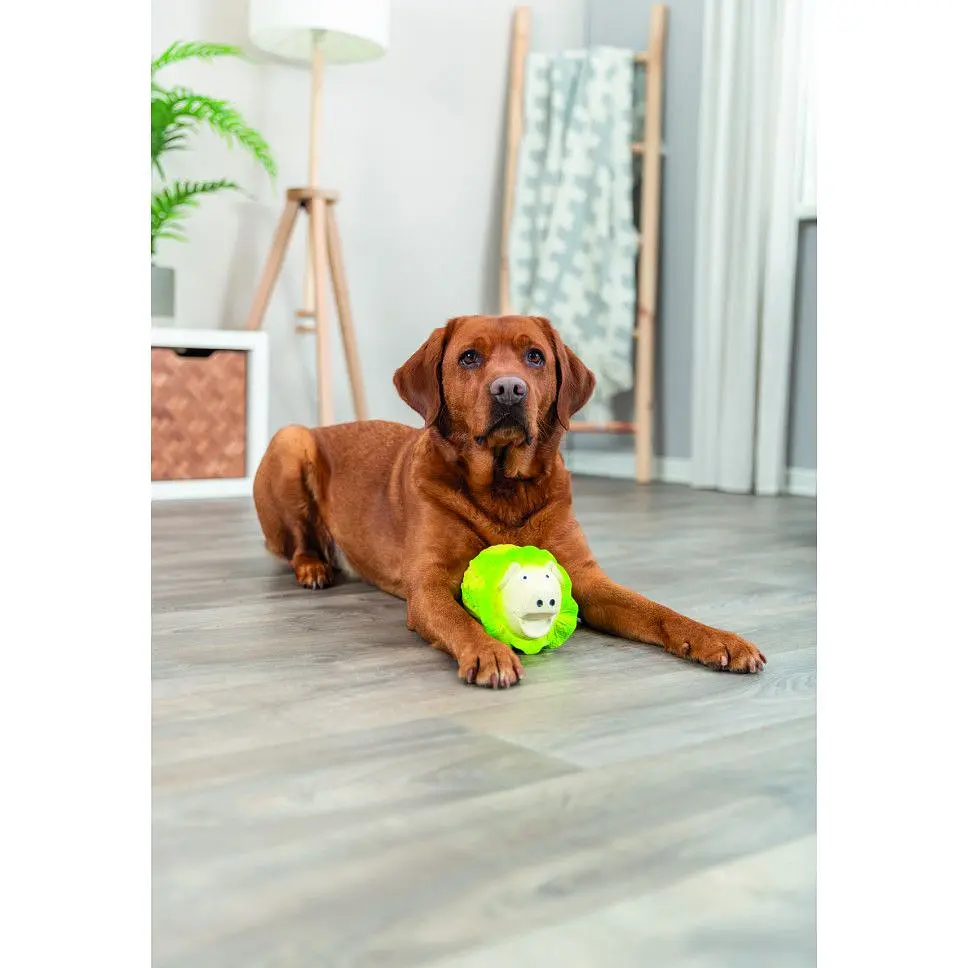 Игрушка для собак Trixie Капустная свинка латекс 23 см светло-зеленая  - фото 4