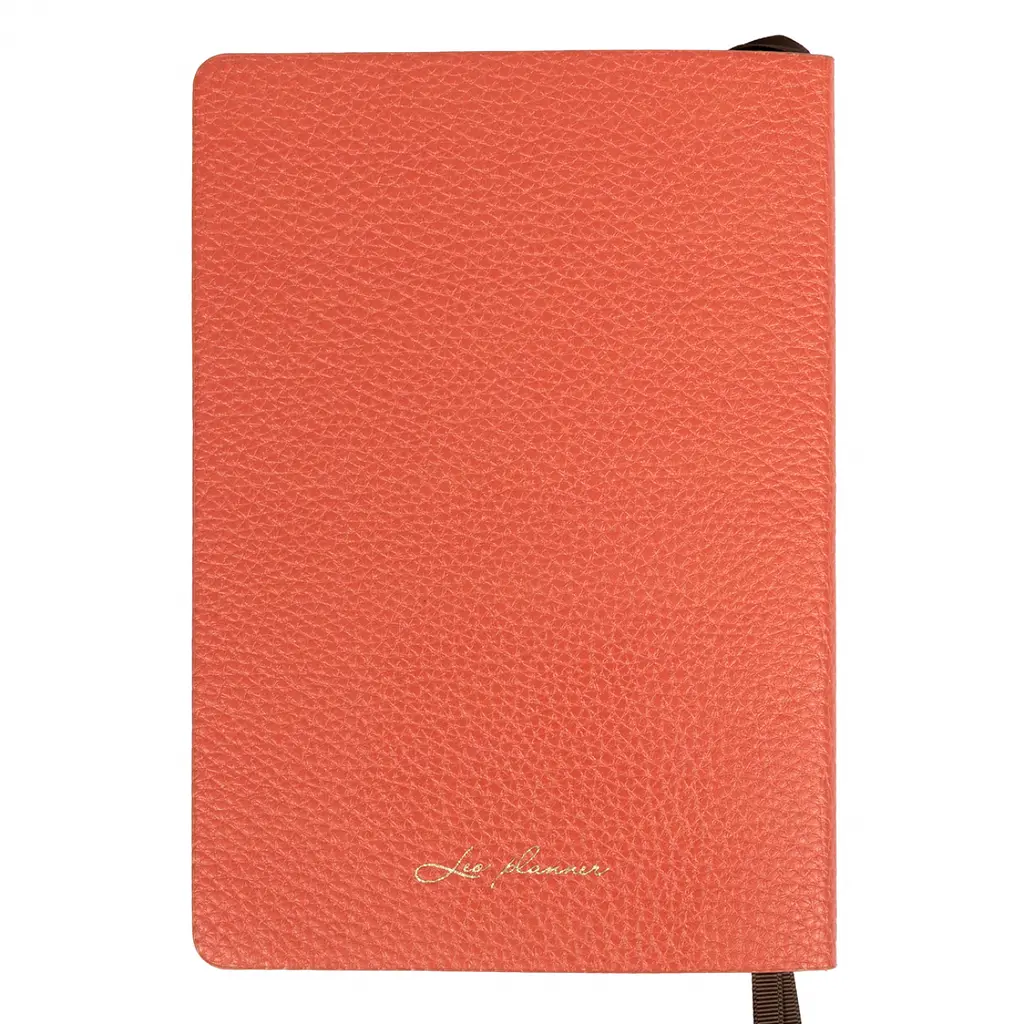 Щоденник діловий Leo Planner 2027 Flow А5 м'який 368 сторінок помаранчевий (252784) - фото 18
