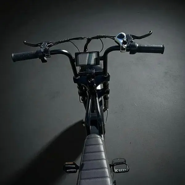 Електровелосипед Volto Vortex 22" фетбайк 1000W 48V 19Ah PAS система чорний - фото 10