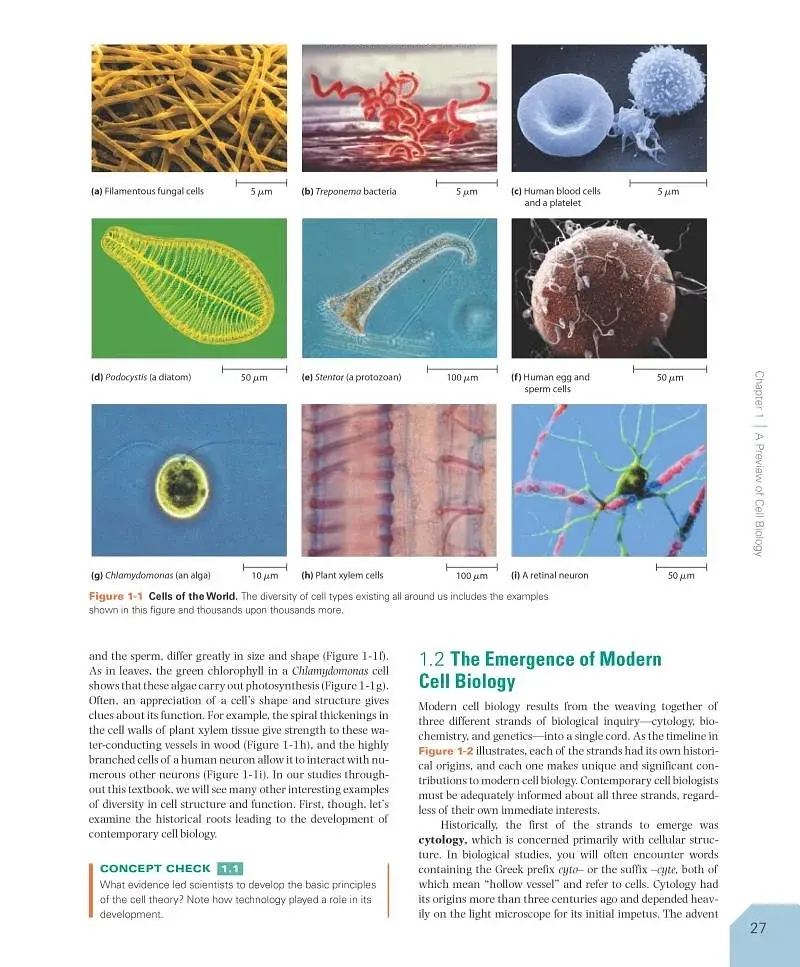 Becker's World of the Cell. 9th Global Edition - фото 4