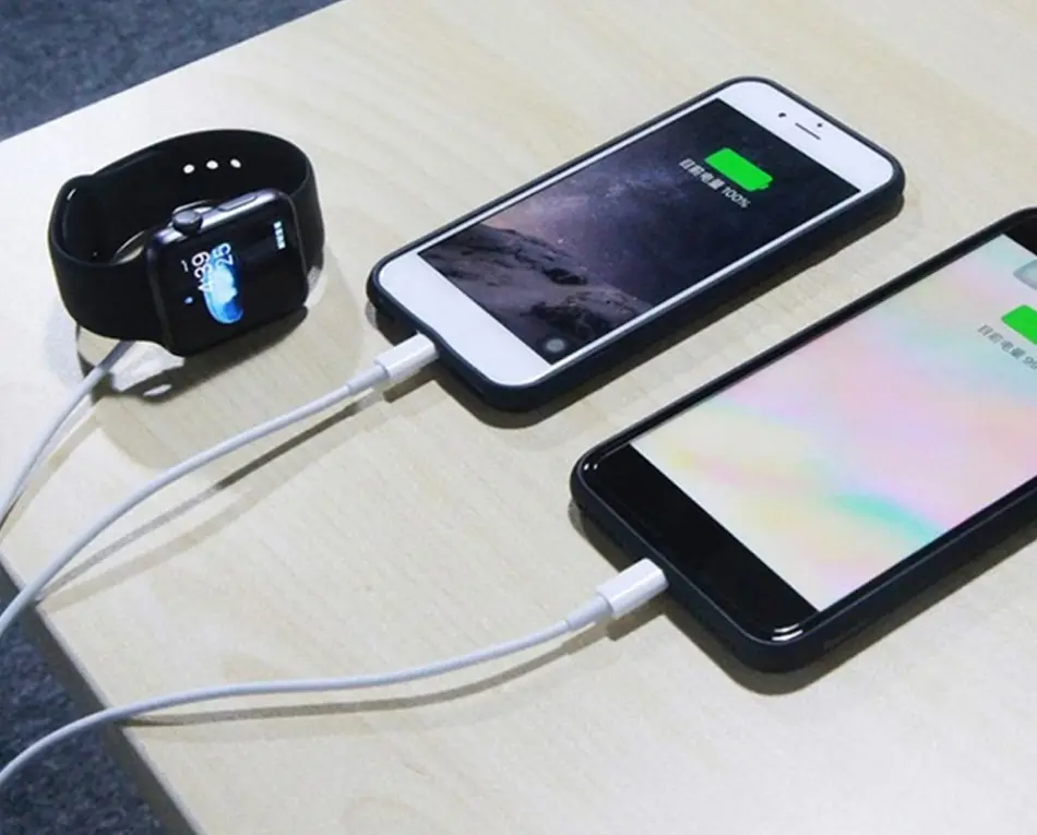 USB кабель Primo 3in1-01 Lightning + Lightning + зарядное устройство для Apple Watch - фото 3