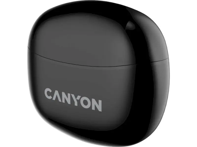 Наушники Canyon TWS-5 Black (CNS-TWS5B) - фото 4