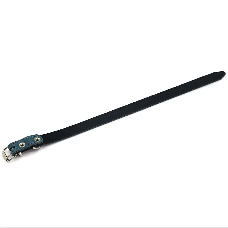 Ошейник для собак Zoo-hunt кожаный с неопреном О деликат синий 1,2/20-25 см - фото 2