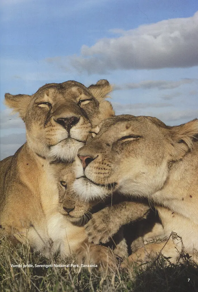 Wonderful World 2nd Edition 3 Student's Book - фото 8