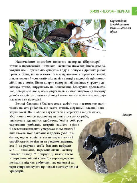 Енциклопедія для допитливих А5 : Хижаки (Українська, 01 КРЕЙДОВАНИЙ ) - Андрій Гапченко - фото 5