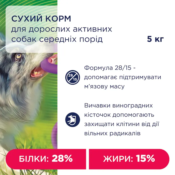 Сухий корм для дорослих активних собак середніх порід Club 4 Paws Premium Active 5 кг - фото 4