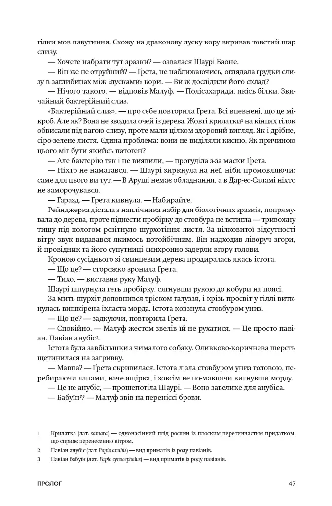 Нові Темні Віки. Колапс - Макс Кідрук - фото 9