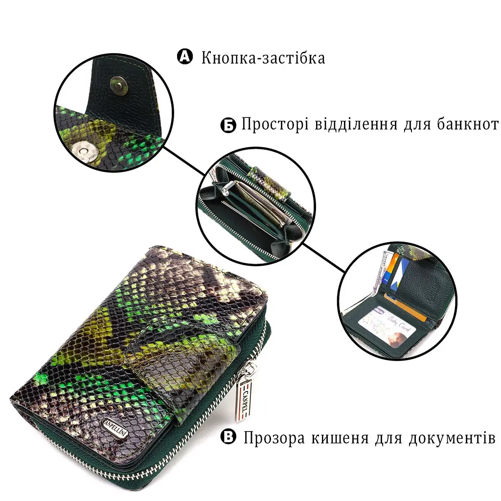 Жіноче фактурне вертикальне портмоне з монетницею на блискавці з натуральної шкіри з тисненням під змію Canpellini 21732 різнокольорове - фото 8