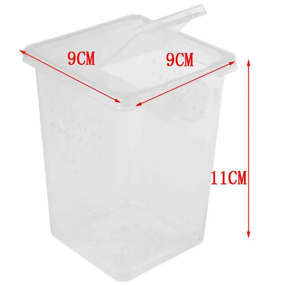 Тераріум, фаунаріум Terrario Insect Box High 9x9x11см - фото 4