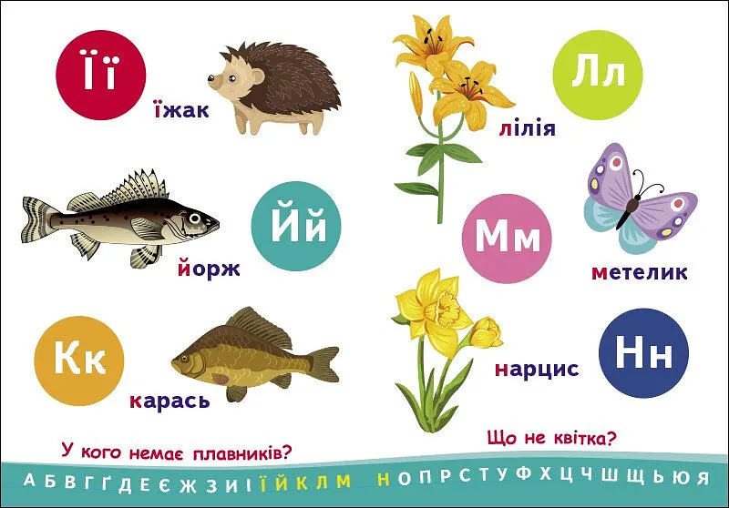 Книга Ранок Пізнавайчик. Абетка - Світлана Моісеєнко (G1733001У) - фото 3