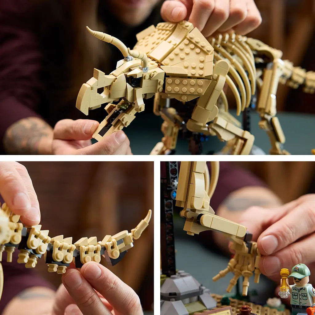 Конструктор LEGO Jurassic World Скамʼянілості динозаврів: трицератопс (77985) - фото 5