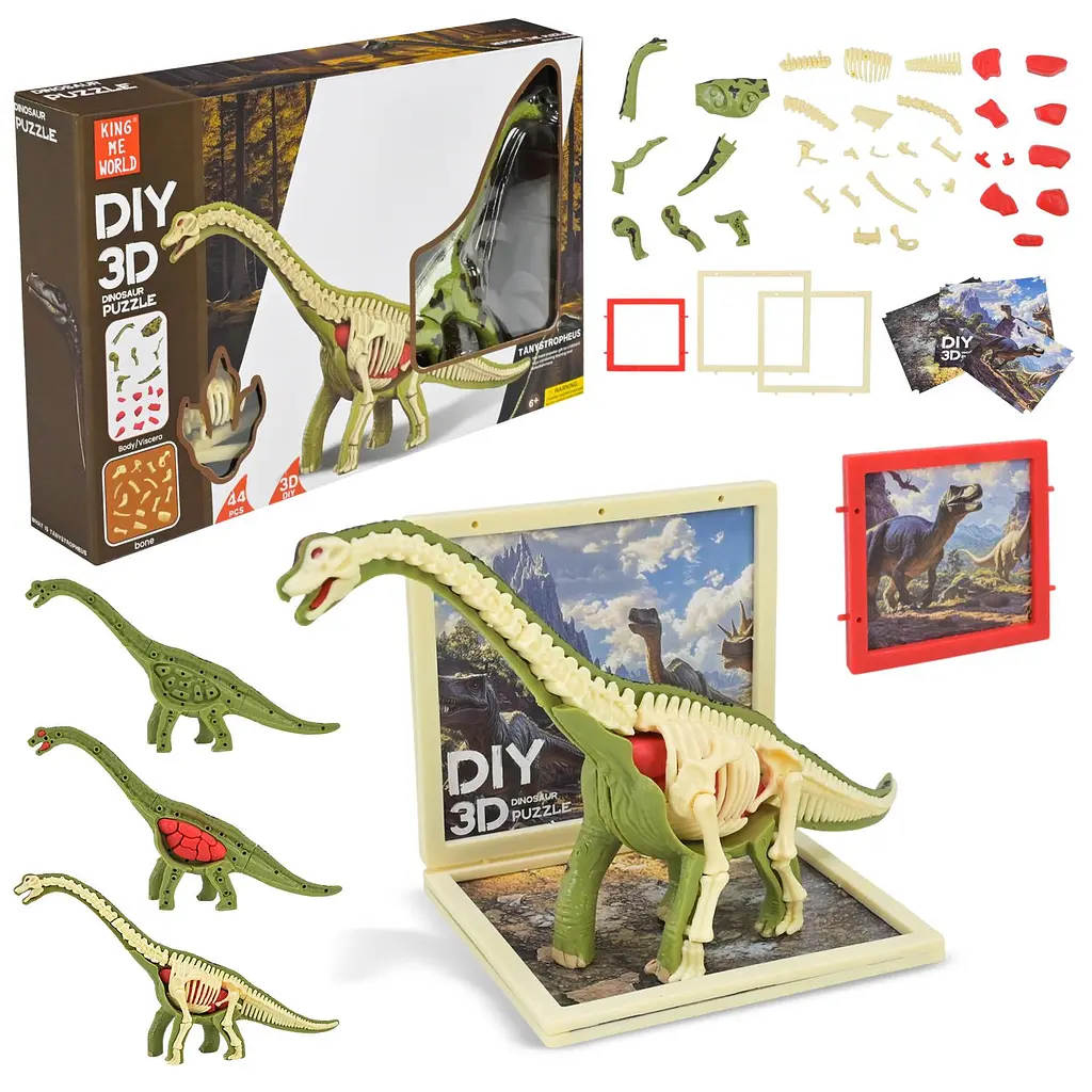 Збірний 3D-пазл анатомічна модель динозавра Dinosaur puzzle (310B-3)