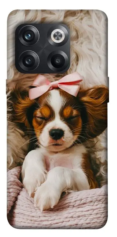 TPU чохол Demsky Sleepy spaniel для OnePlus 10T