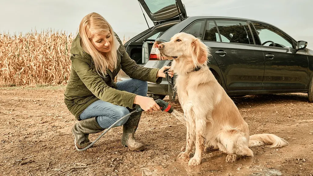 Мінімийка акумуляторна Fontus 18V 18В 20бар 386л/год 7.5кг без АКБ та ЗП Bosch teh0016626 - фото 9