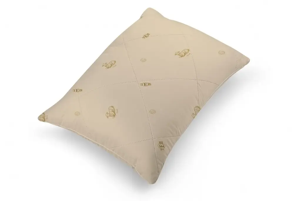 Подушка ТЕП Dream Collection Wool 50х70 см бежевая (3-02621_00000) - фото 2