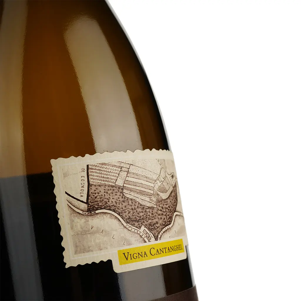 Вино Maso Cantanghel Sauvignon, белое, сухое, 13,5%, 0,75 л (35104) - фото 3