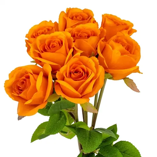 Букет троянд Elisey (9160-020) штучний 48 см помаранчевий       - фото 2