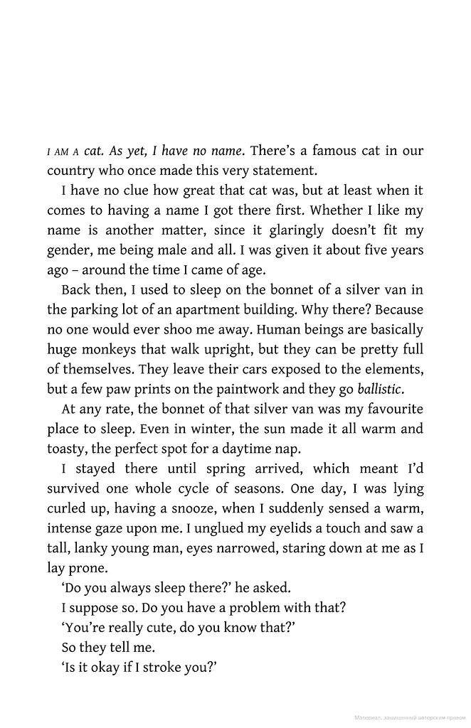The Travelling Cat Chronicles - фото 3
