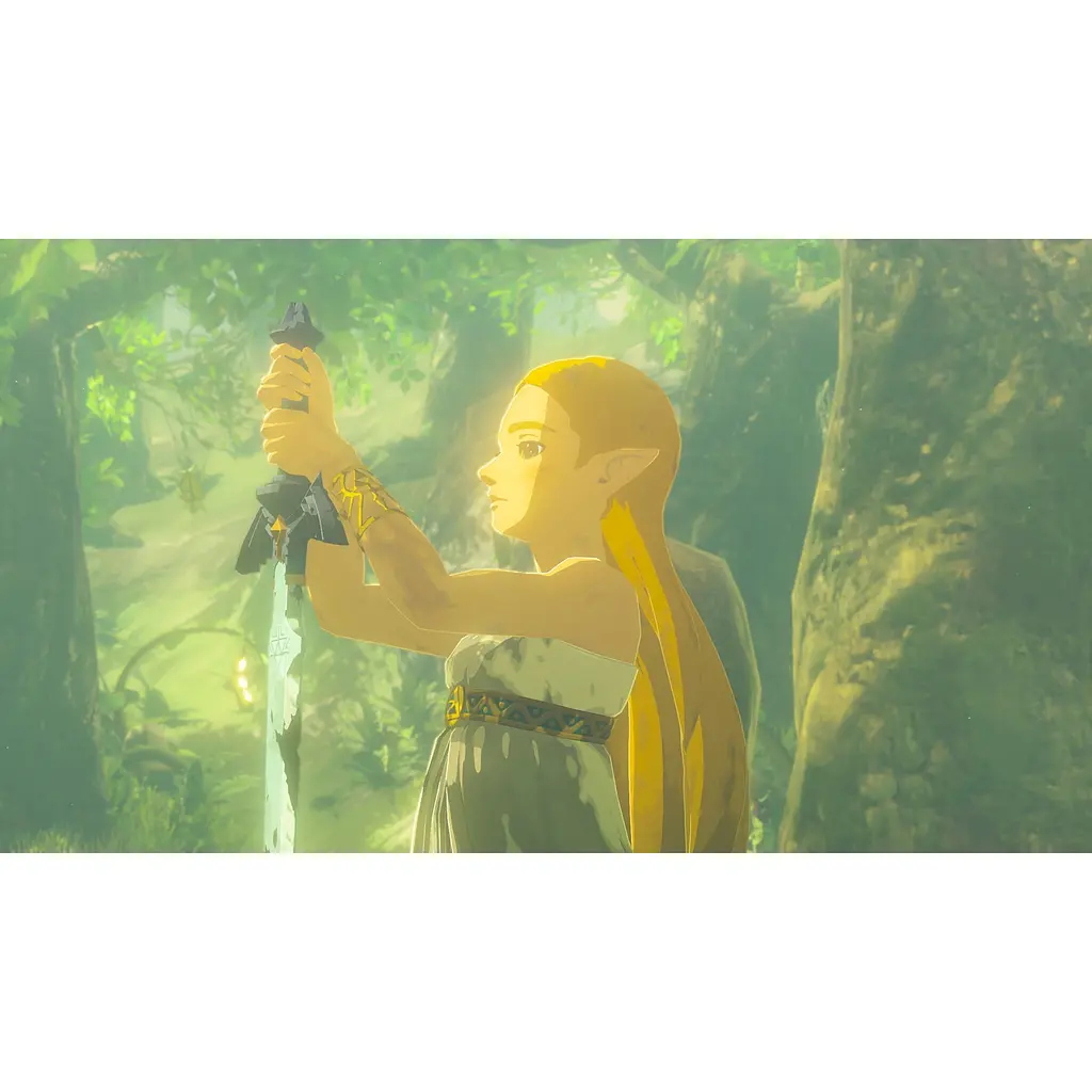 Гра The Legend of Zelda: Breath of the Wild для Nintendo Switch 2 (RU) [142999] - фото 8